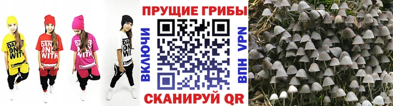 где можно купить наркотик Челябинск blacksprut зеркало Псилоцибиновые грибы MAGIC MUSHROOMS